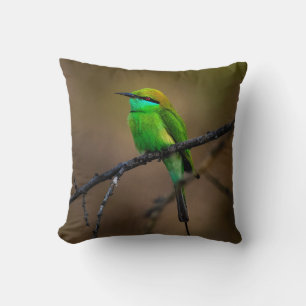 Schöner, heller Grüner Vogel auf einem dünnen Twig Kissen