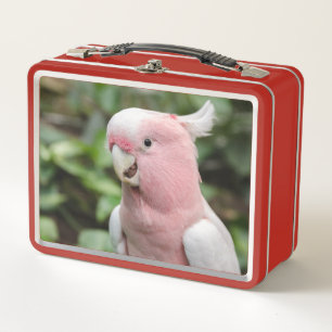 Schöner, heller Rosa und weißer Papagei Metall Brotdose