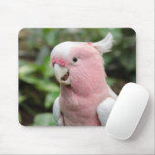 Schöner, heller Rosa und weißer Papagei Mousepad (Mit Mouse)