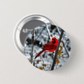 Schöner, hellroter Kardinal im Schnee Button (Vorne & Hinten)