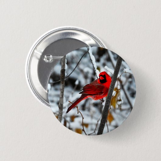 Schöner, hellroter Kardinal im Schnee Button (Vorne & Hinten)