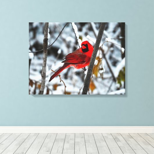 Schöner, hellroter Kardinal im Schnee Leinwanddruck (Insitu (Holzboden))