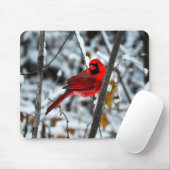 Schöner, hellroter Kardinal im Schnee Mousepad (Mit Mouse)