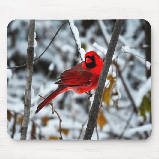 Schöner, hellroter Kardinal im Schnee Mousepad (Vorne)