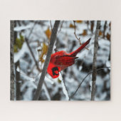 Schöner, hellroter Kardinal im Schnee Puzzle (Horizontal)