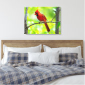 Schöner, hellroter Kardinal in einem Baum Leinwanddruck (Insitu (Schlafzimmer))