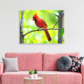 Schöner, hellroter Kardinal in einem Baum Leinwanddruck (Insitu (Wohnzimmer))