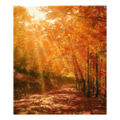 Schöner Herbst Fotodruck (Vorne)