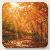 Schöner Herbst Getränkeuntersetzer (Vorderseite)