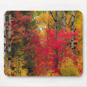 Schöner Herbst in Kanada. Mousepad