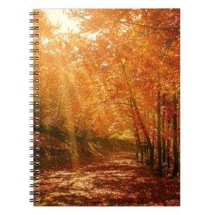 Schöner Herbst Notizblock