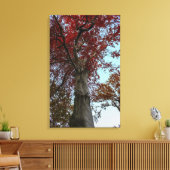 Schöner Herbstbaum im Zentralpark Leinwanddruck (Insitu (Wohnzimmer))
