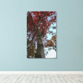 Schöner Herbstbaum im Zentralpark Leinwanddruck (Insitu (Holzboden))