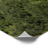 Schöner Herbsttag in den Bergen...... Poster (Ecke)