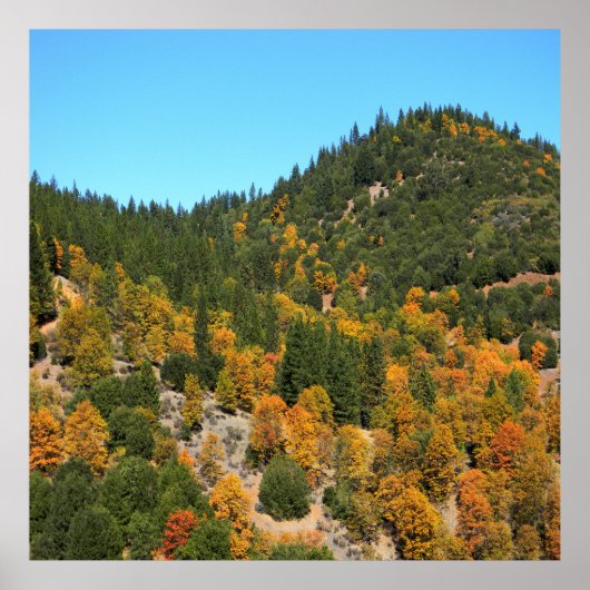 Schöner Herbsttag in den Bergen...... Poster (Vorne)