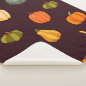 Schöner Herbstuntergrund mit bunten Kürbissen Sherpadecke (3/4)