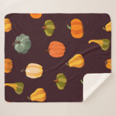Schöner Herbstuntergrund mit bunten Kürbissen Sherpadecke (Vorderseite (Horizontal))