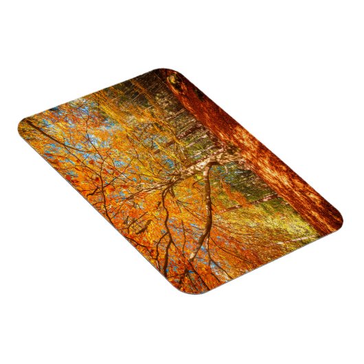 Schöner Herbstwald Magnet (Rechte Seite)