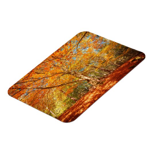 Schöner Herbstwald Magnet (Linke Seite)