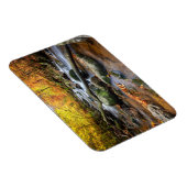 Schöner Herbstwald Magnet (Rechte Seite)