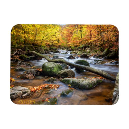 Schöner Herbstwald Magnet (Horizontal)