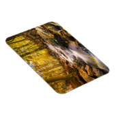 Schöner Herbstwald Magnet (Rechte Seite)