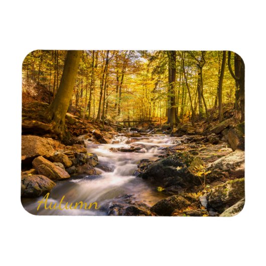 Schöner Herbstwald Magnet (Horizontal)