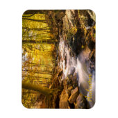 Schöner Herbstwald Magnet (Vertikal)
