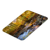 Schöner Herbstwald Magnet (Linke Seite)