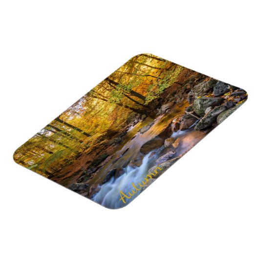 Schöner Herbstwald Magnet (Linke Seite)