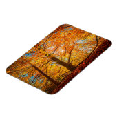 Schöner Herbstwald Magnet (Linke Seite)