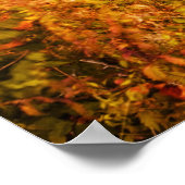 Schöner Herbstwald Poster (Ecke)