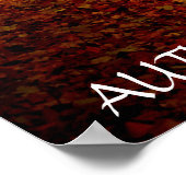 Schöner Herbstwald Poster (Ecke)