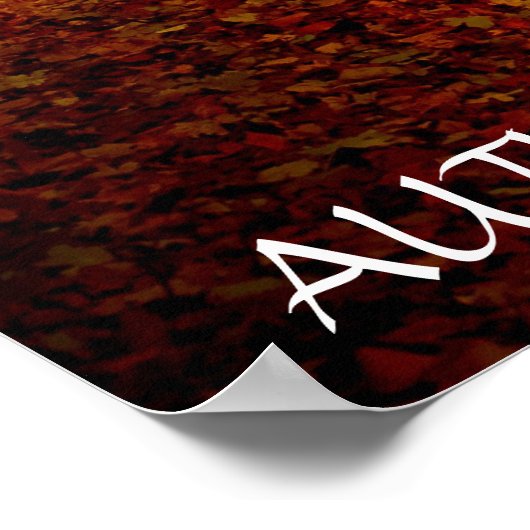 Schöner Herbstwald Poster (Ecke)