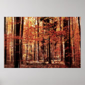 Schöner Herbstwald Poster (Vorne)