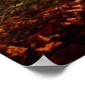 Schöner Herbstwald Poster (Ecke)