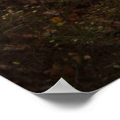 Schöner Herbstwald Poster (Ecke)