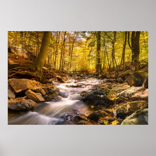 Schöner Herbstwald Poster (Vorne)