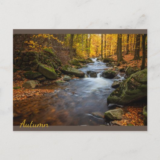 Schöner Herbstwald Postkarte (Vorderseite)