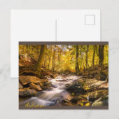 Schöner Herbstwald Postkarte (Vorne/Hinten)