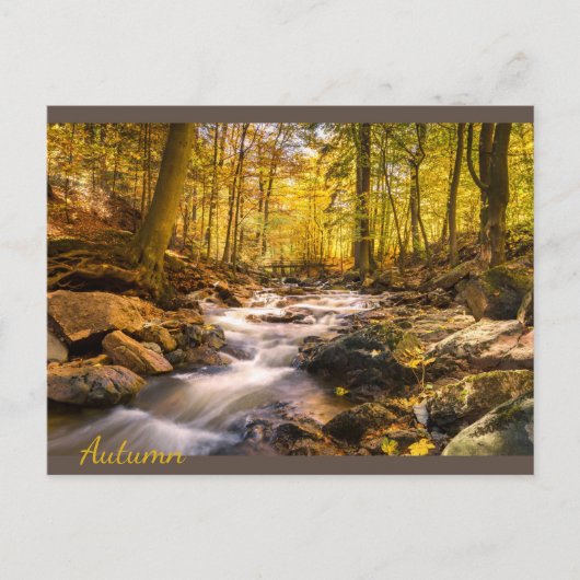 Schöner Herbstwald Postkarte (Vorderseite)