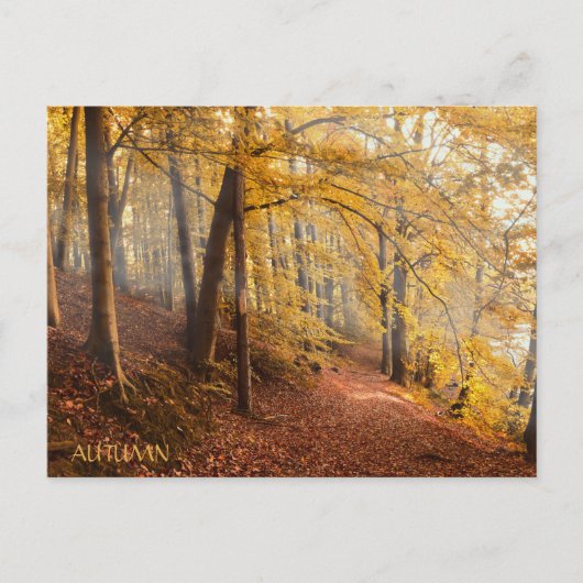 Schöner Herbstwald Postkarte (Vorderseite)
