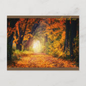 Schöner Herbstwald Postkarte (Vorderseite)
