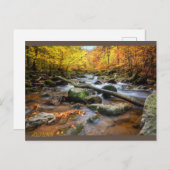 Schöner Herbstwald Postkarte (Vorne/Hinten)
