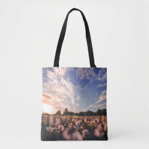 schöner Himmel über dem schlichten Tasche