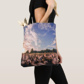 schöner Himmel über dem schlichten Tasche (Von Nahem)