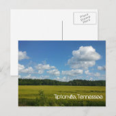 Schöner Himmel über Tiptonville Postkarte (Vorne/Hinten)