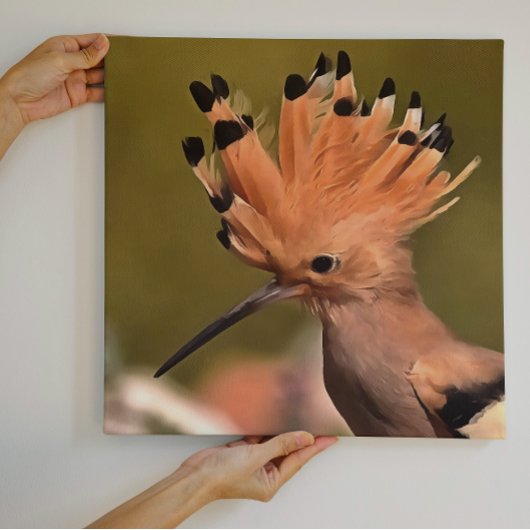 Schöner Hoopoe Bird mit Krone von Federn Leinwanddruck