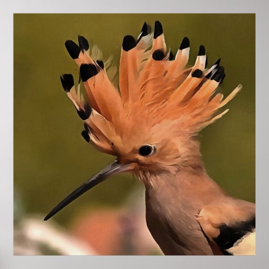 Schöner Hoopoe Bird mit Krone von Federn Poster (Vorne)