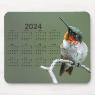 Schöner Hummingbird auf Zweig 2024 Kalender Mousepad
